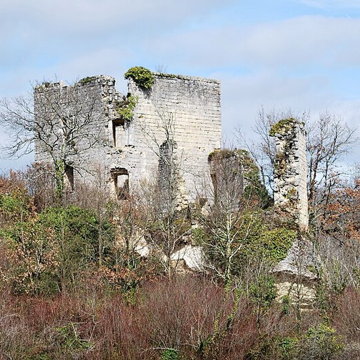 Photo de Ruines du château de Malengin