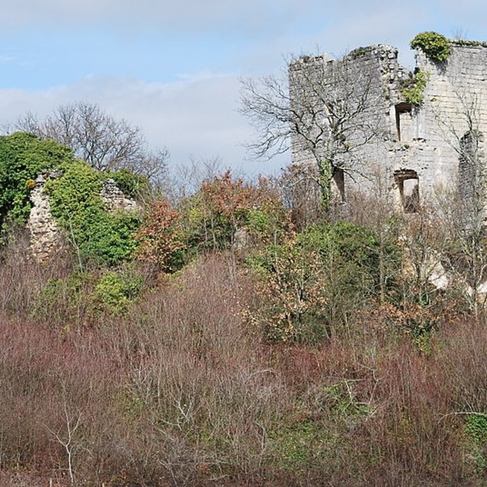 Photo de Ruines du château de Malengin