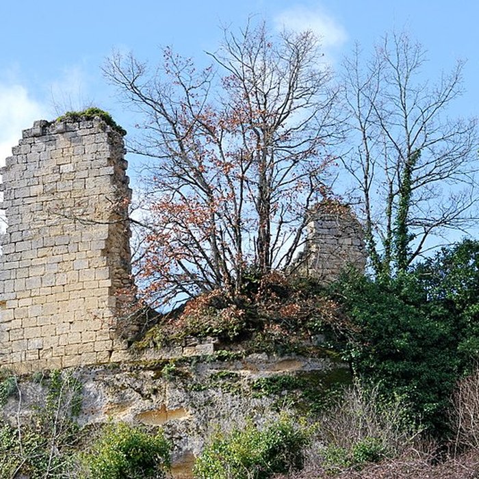 Photo de Ruines du château de Malengin