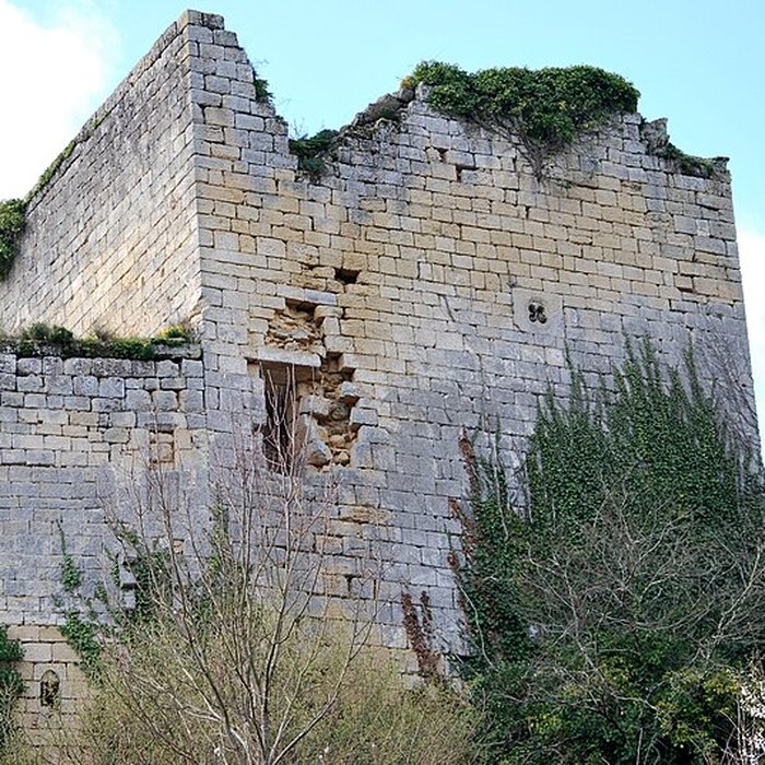 Photo de Ruines du château de Malengin