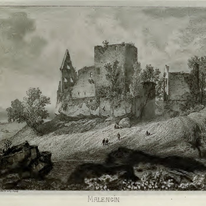 Photo de Ruines du château de Malengin