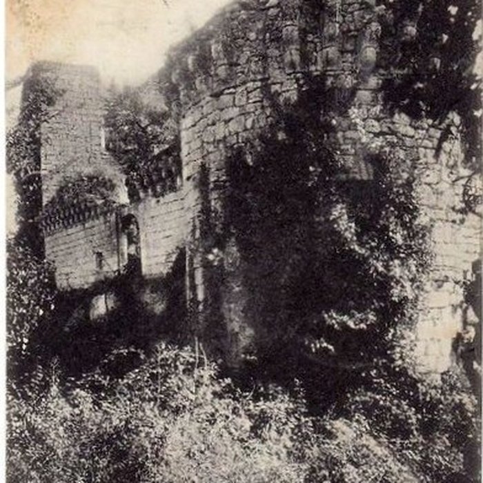 Photo de Ruines du château de Malengin