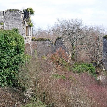 Ruines du château de Malengin