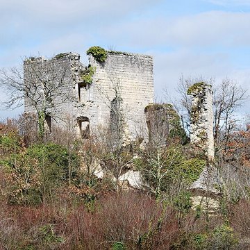 Ruines du château de Malengin