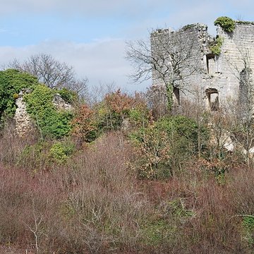 Ruines du château de Malengin