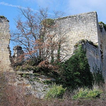 Ruines du château de Malengin