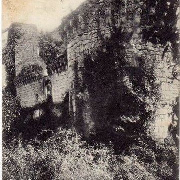 Ruines du château de Malengin