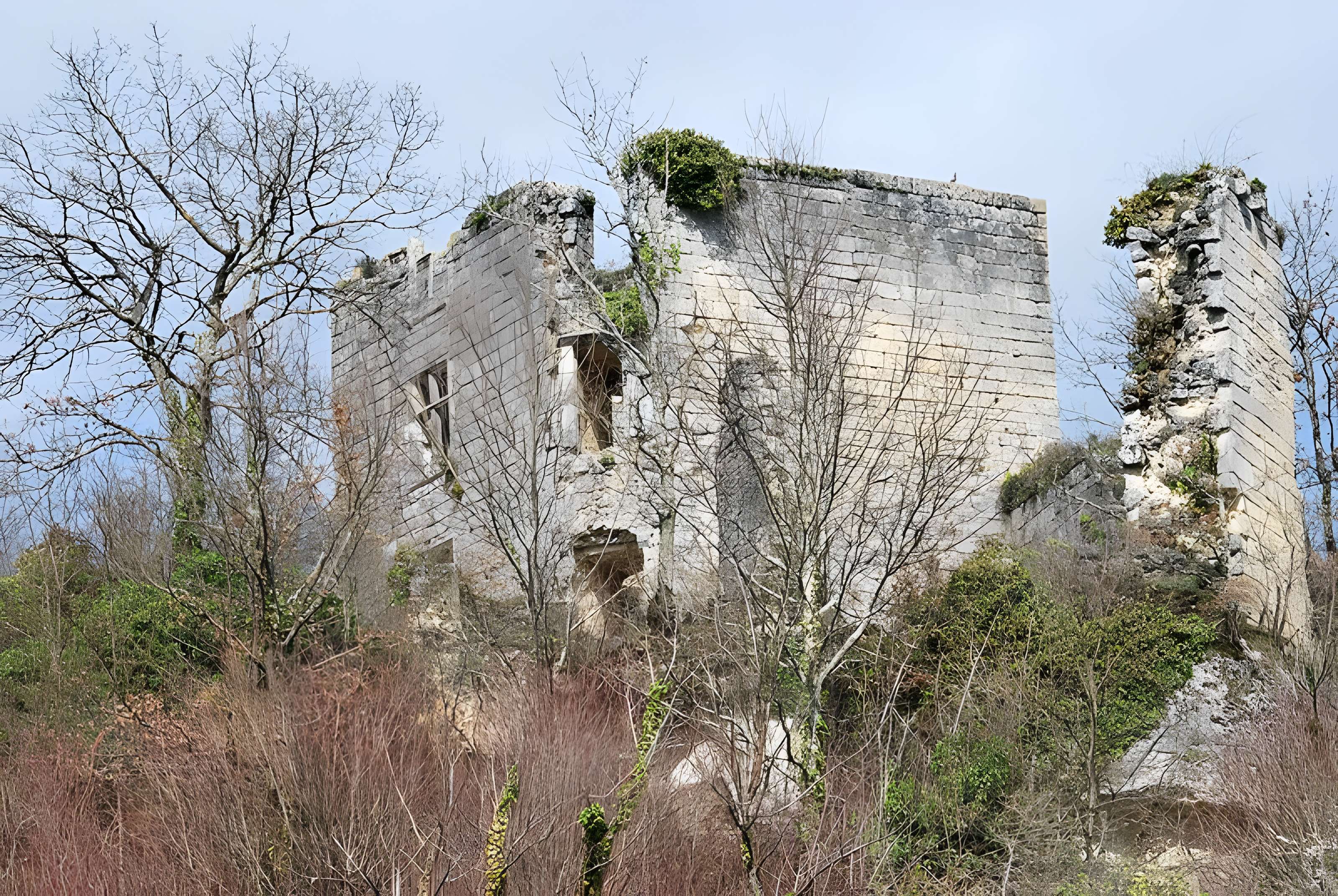 Ruines du château de Malengin