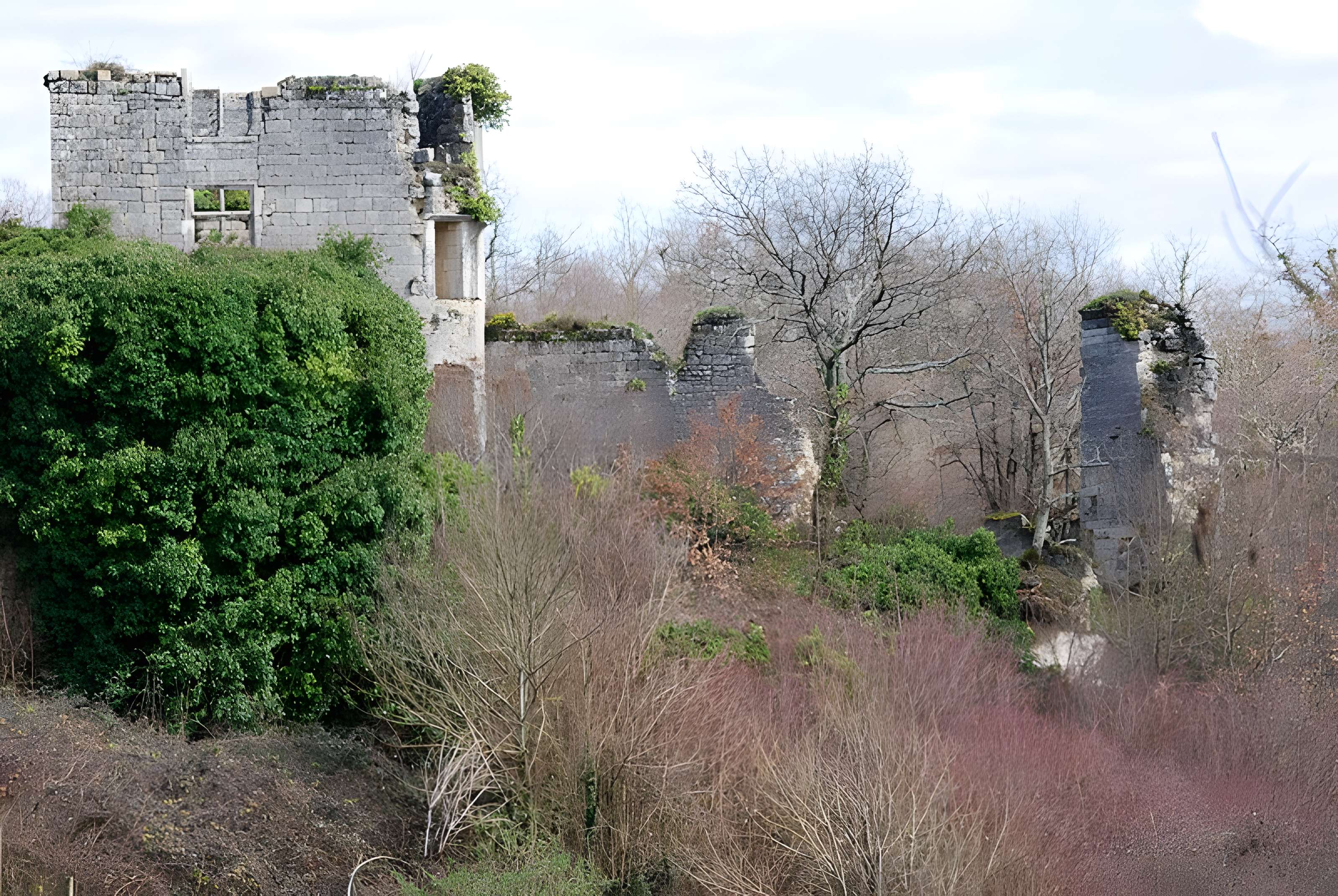 Ruines du château de Malengin