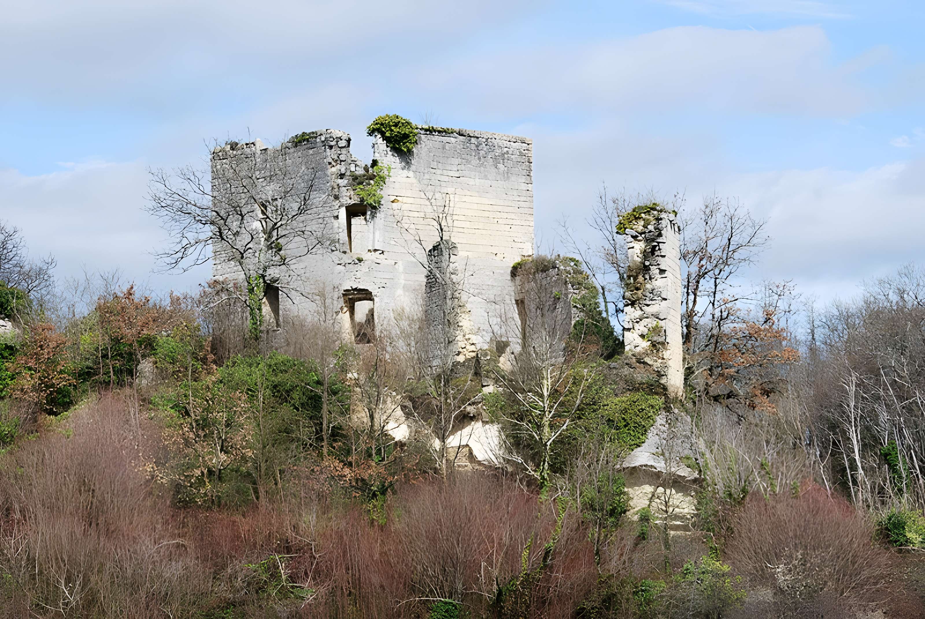 Ruines du château de Malengin