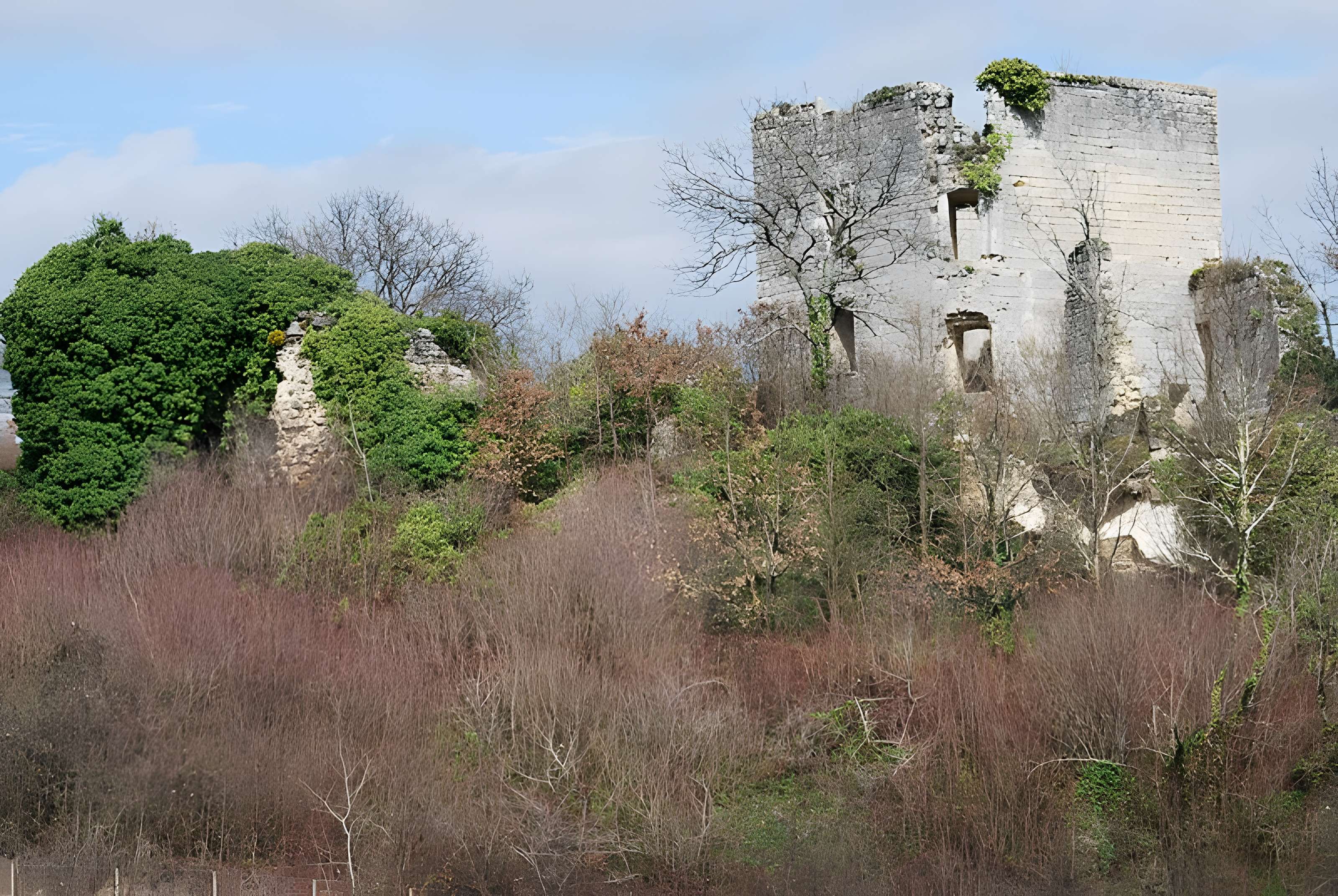 Ruines du château de Malengin