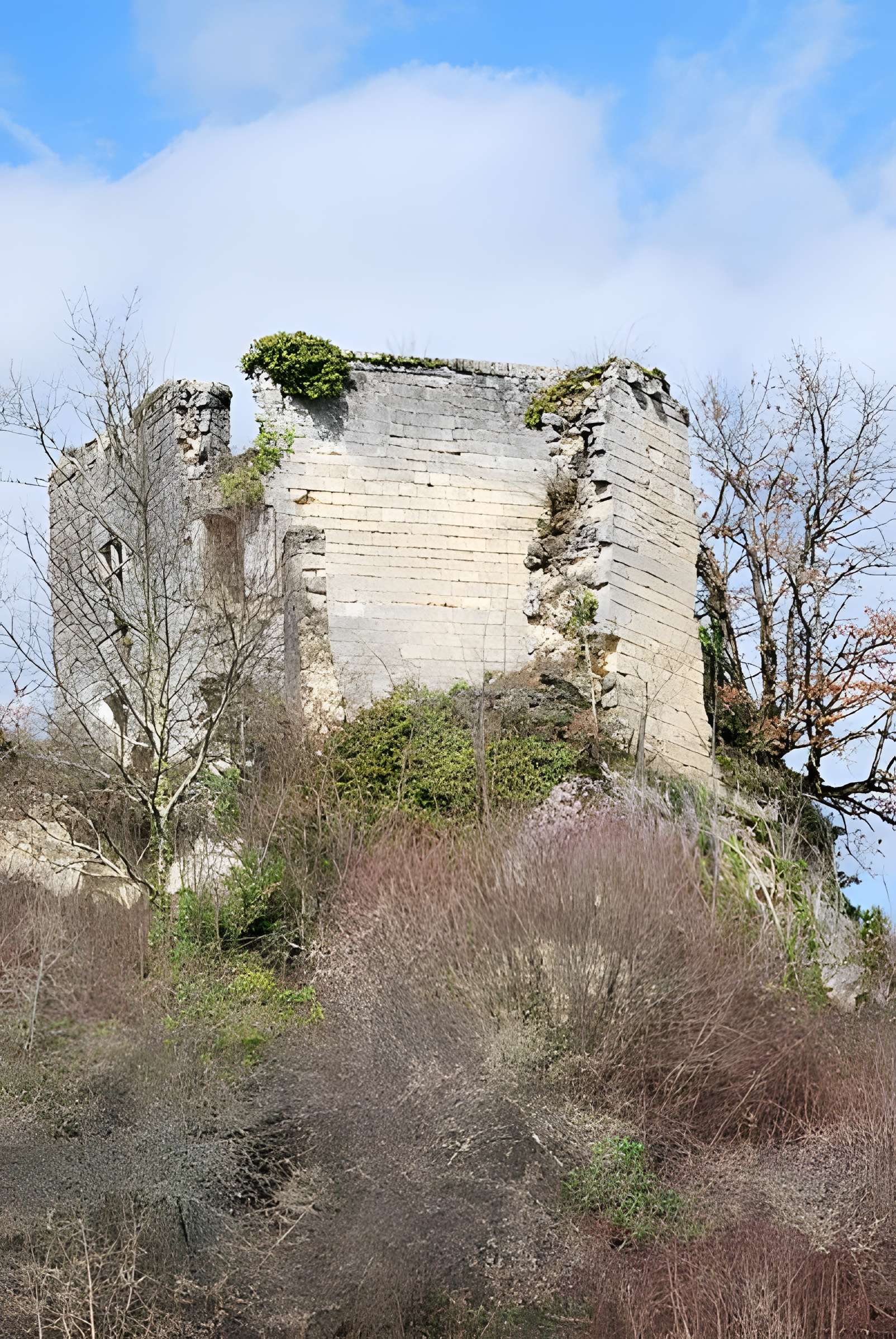 Ruines du château de Malengin