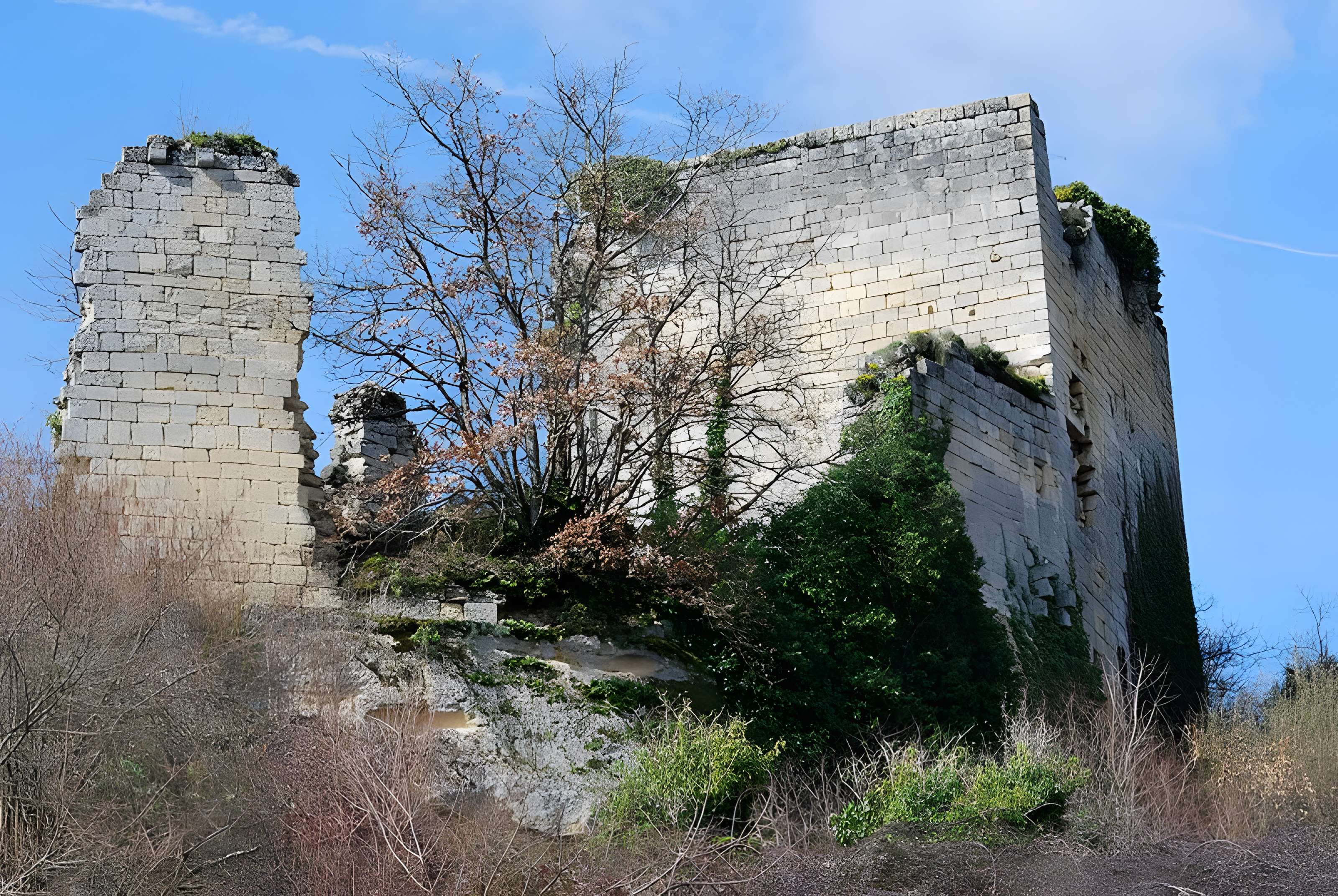 Ruines du château de Malengin