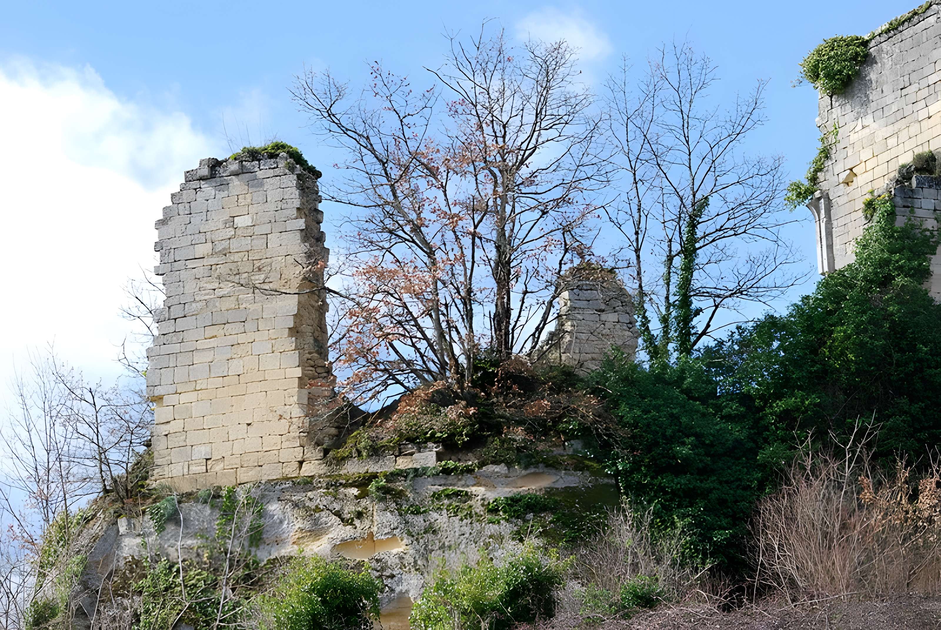 Ruines du château de Malengin