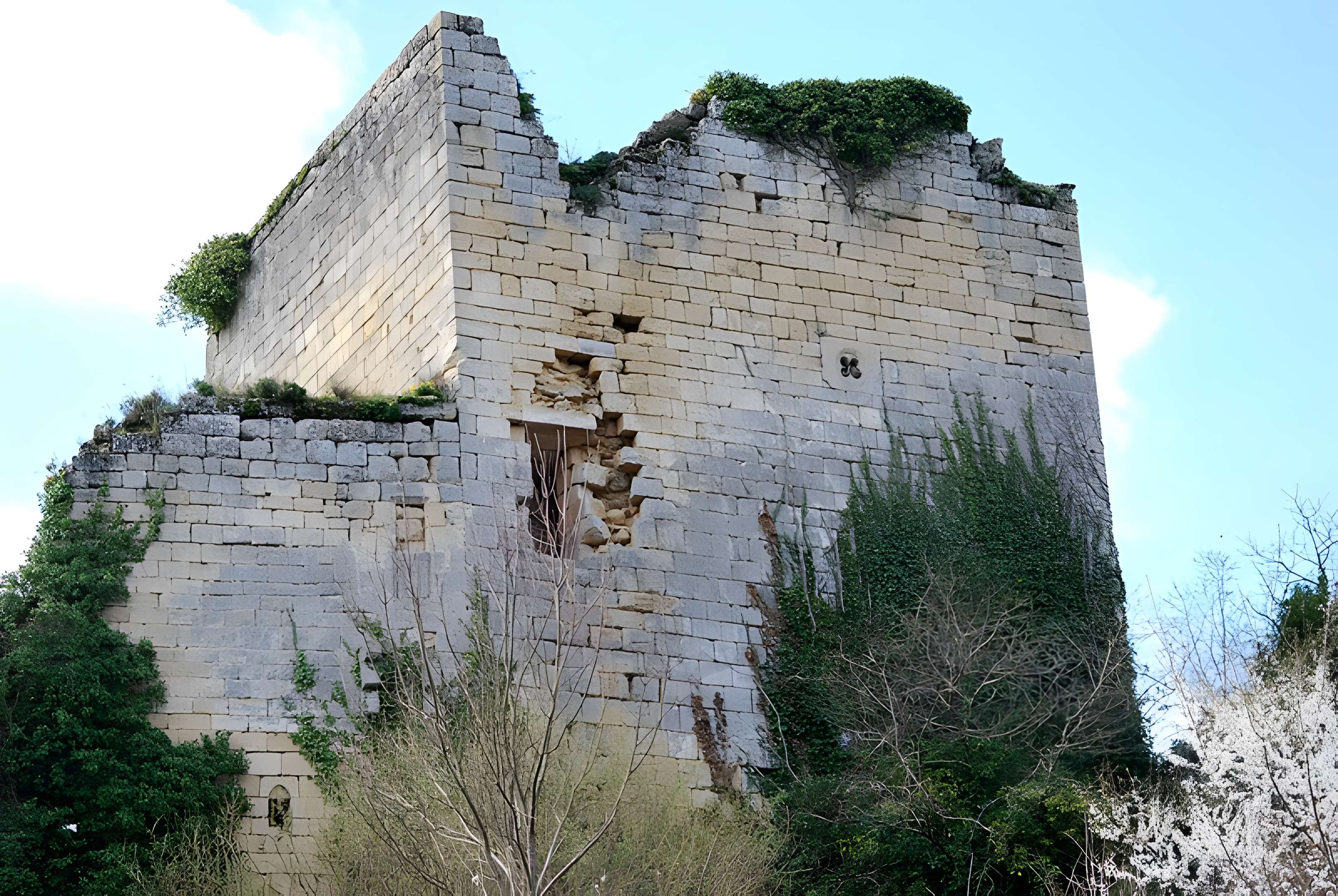 Ruines du château de Malengin