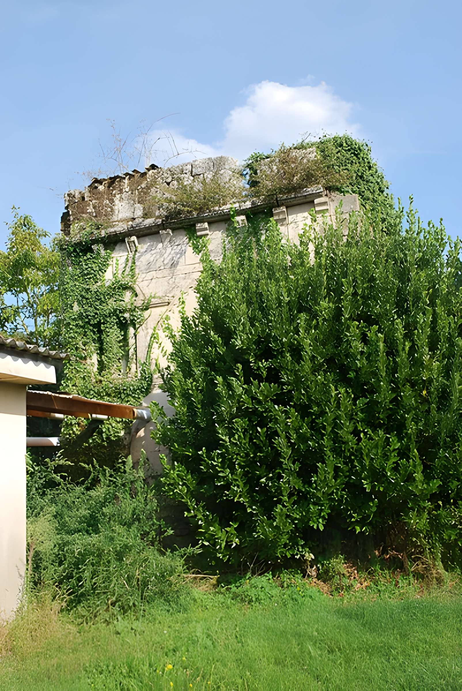 Ruines de la chapelle de Lurzine