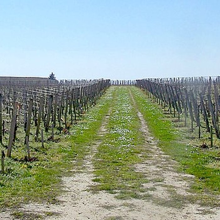 Photo de Château Canon