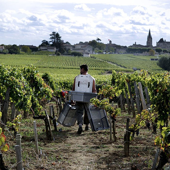 Photo de Château Soutard