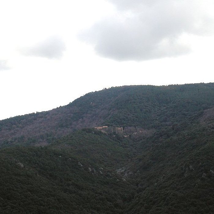 Photo de Chartreuse de la Verne