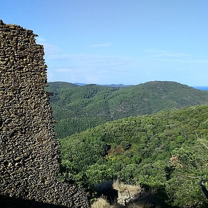 Photo de Chartreuse de la Verne