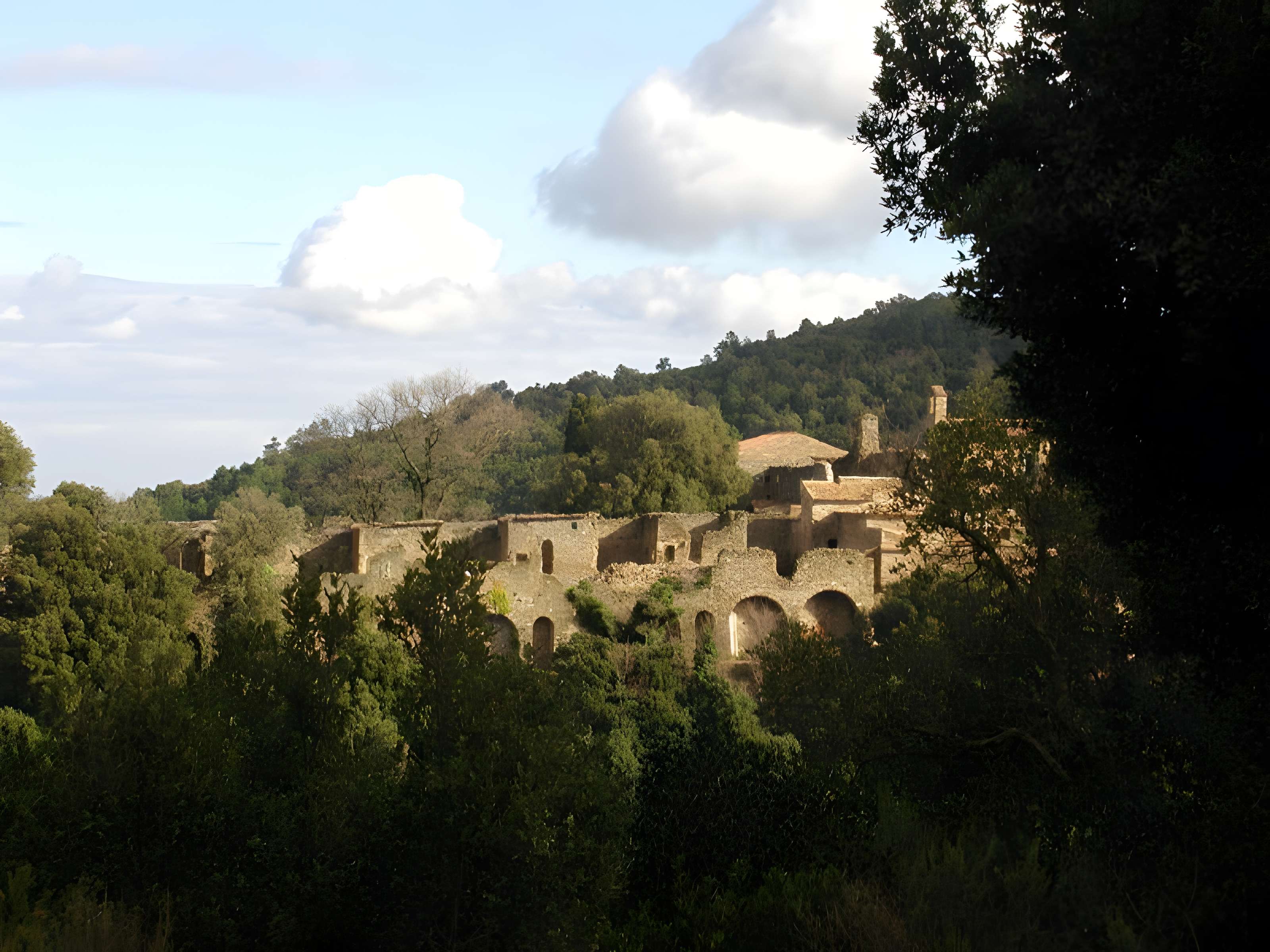 Chartreuse de la Verne