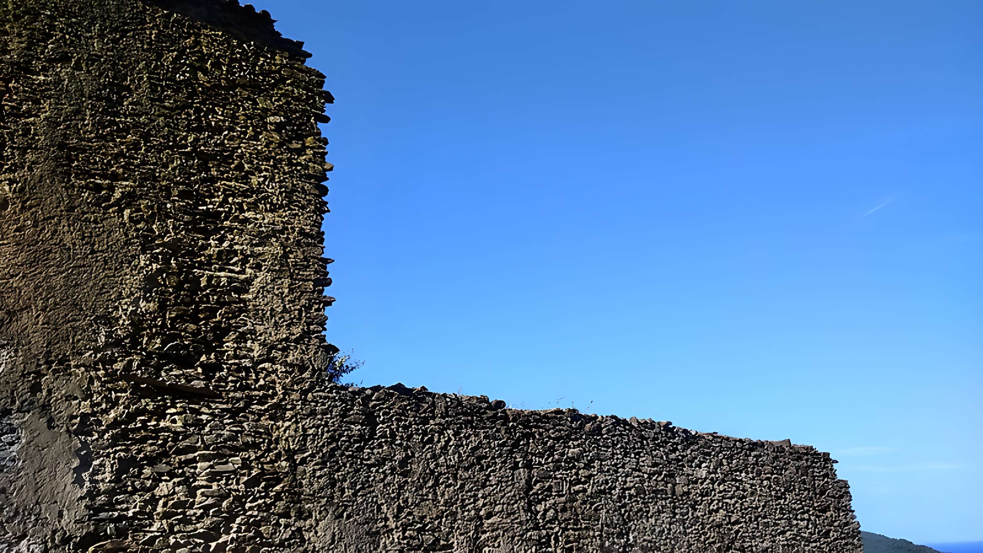 Chartreuse de la Verne