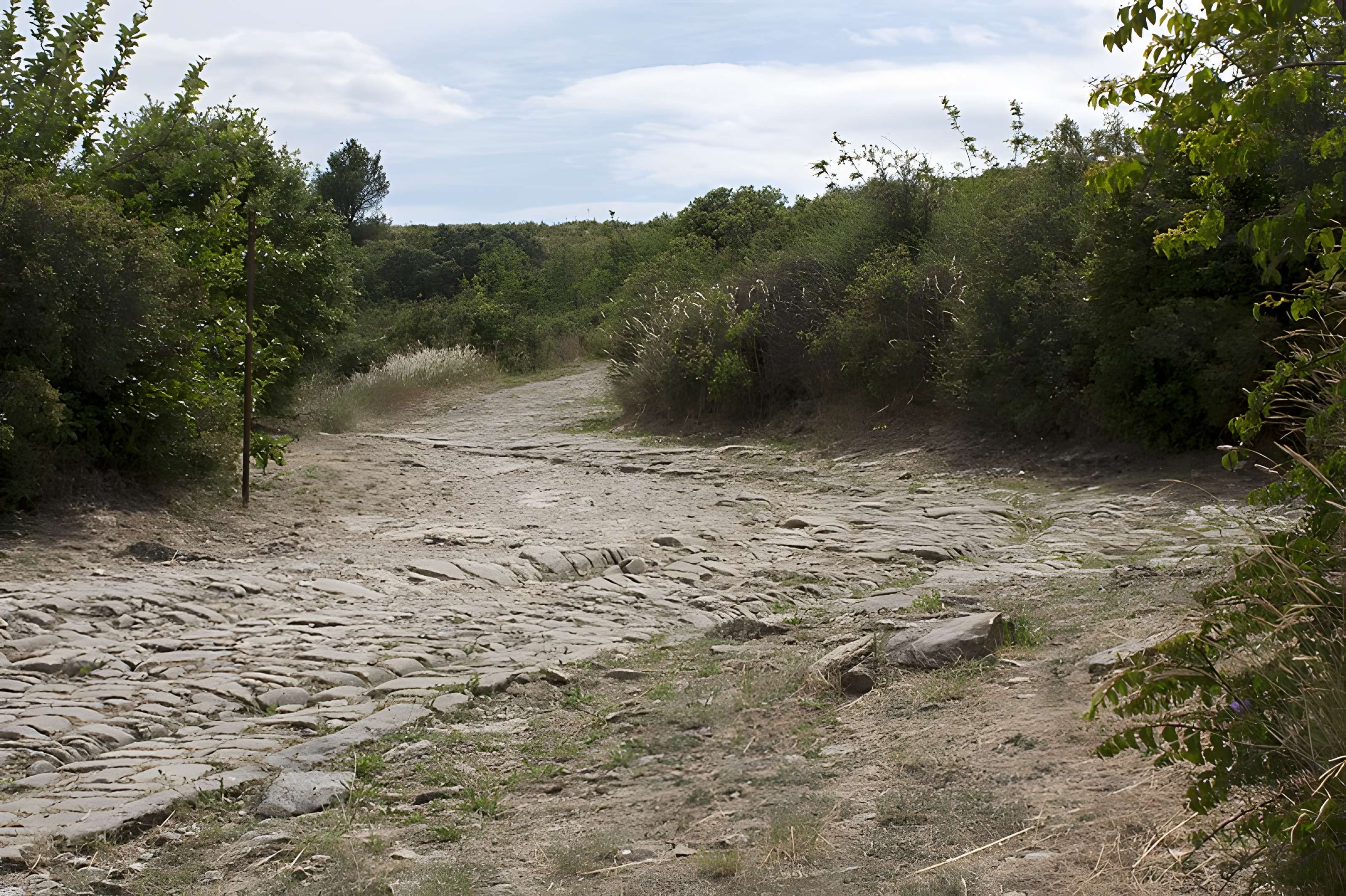 Tronçon de la Via Domitia (également sur communes de Beaucaire, Jonquières-Saint-Vincent et Redessan, dans le Gard)