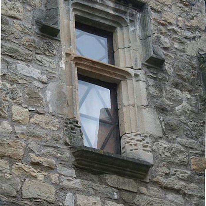Photo de Maison du Bailli ou « manoir Toulouse-Lautrec » à Boussagues