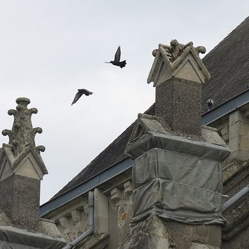 Église Sainte-Gemmes de Sainte-Gemmes-dAndigné