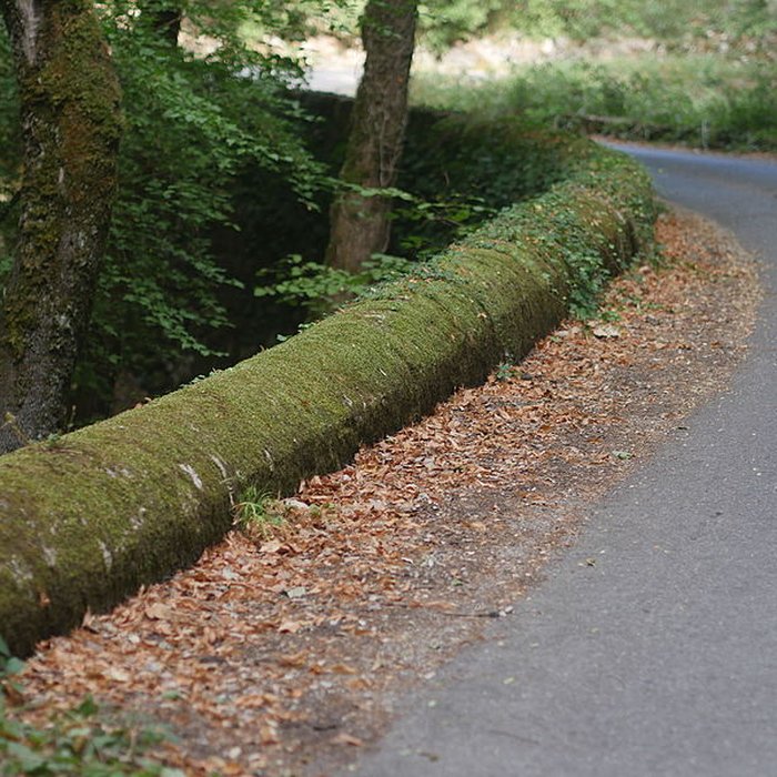 Photo de Chartreuse de Montrieux