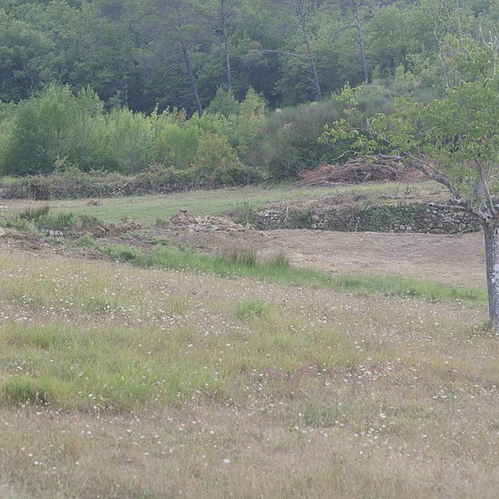 Photo de Chartreuse de Montrieux