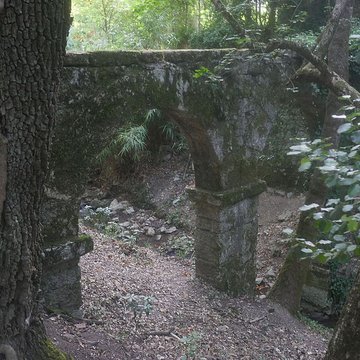 Chartreuse de Montrieux