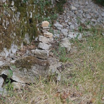 Chartreuse de Montrieux
