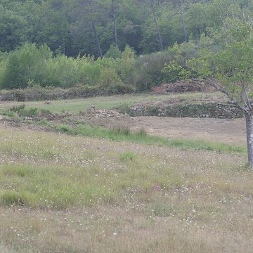 Chartreuse de Montrieux