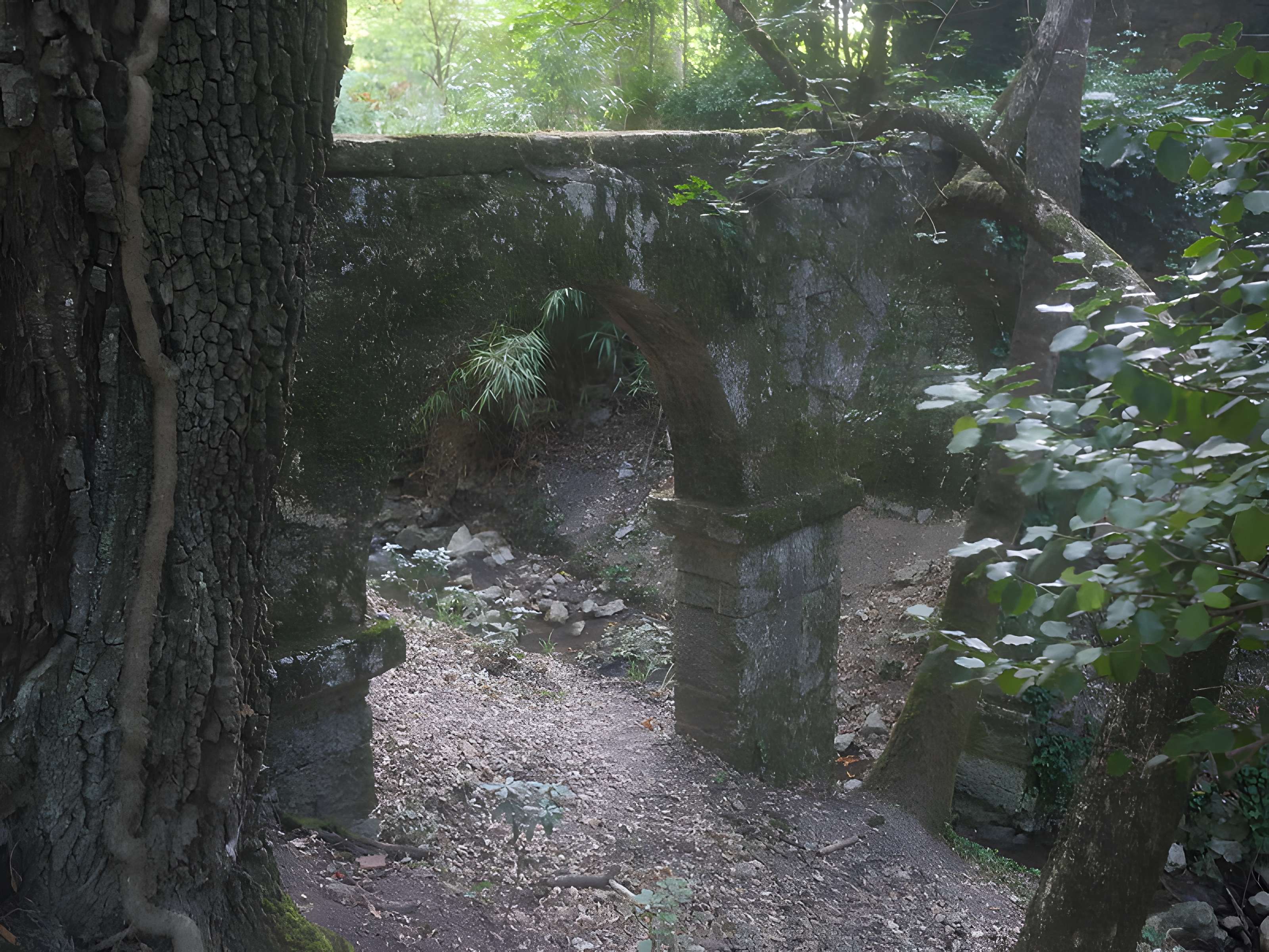 Chartreuse de Montrieux