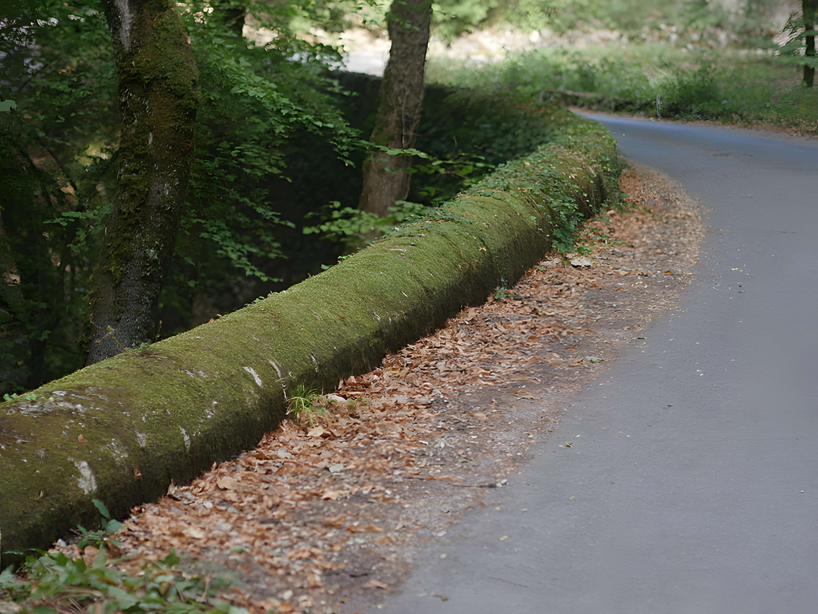 Chartreuse de Montrieux