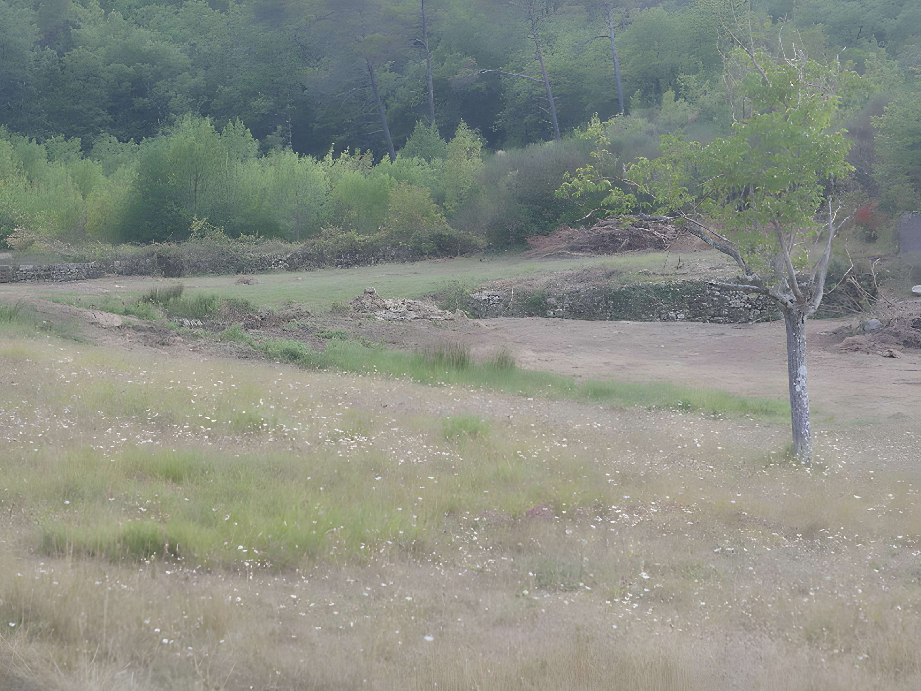 Chartreuse de Montrieux