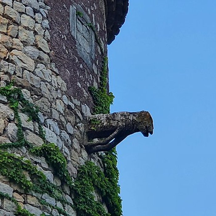 Photo de Château de Montarnaud