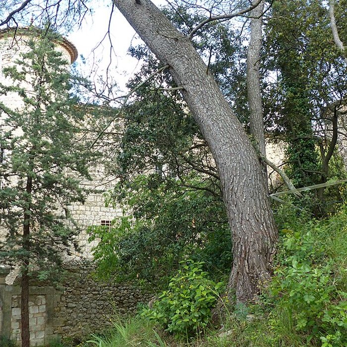 Photo de Château de Montarnaud