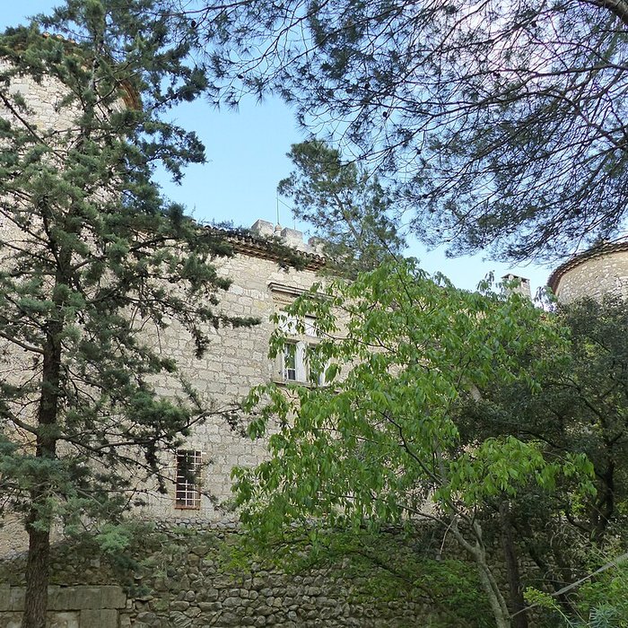 Photo de Château de Montarnaud