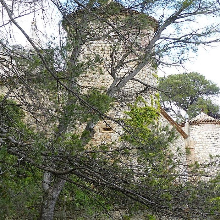 Photo de Château de Montarnaud