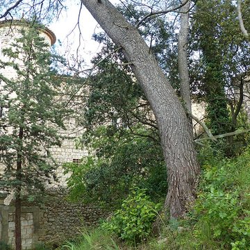 Château de Montarnaud