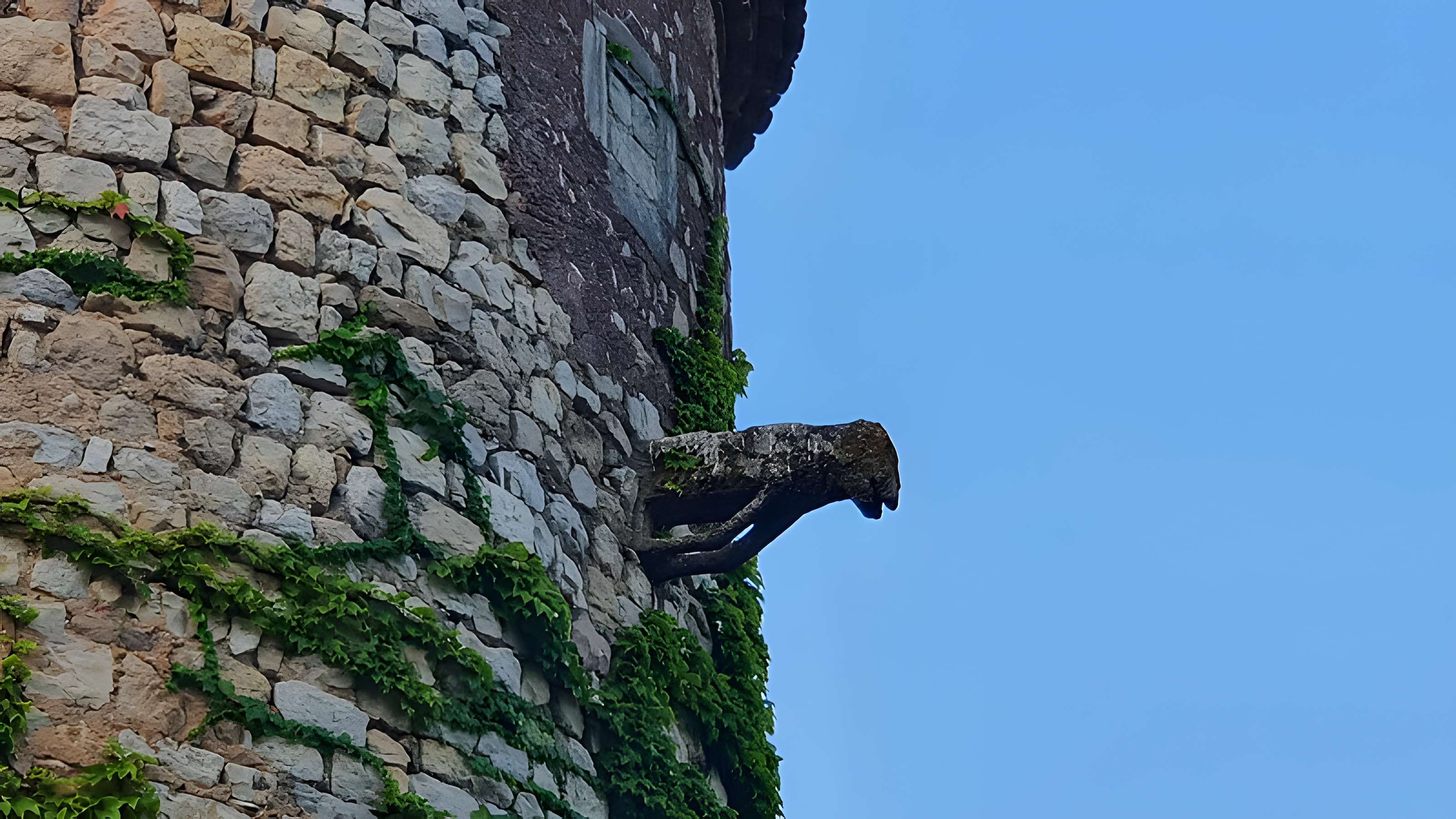 Château de Montarnaud