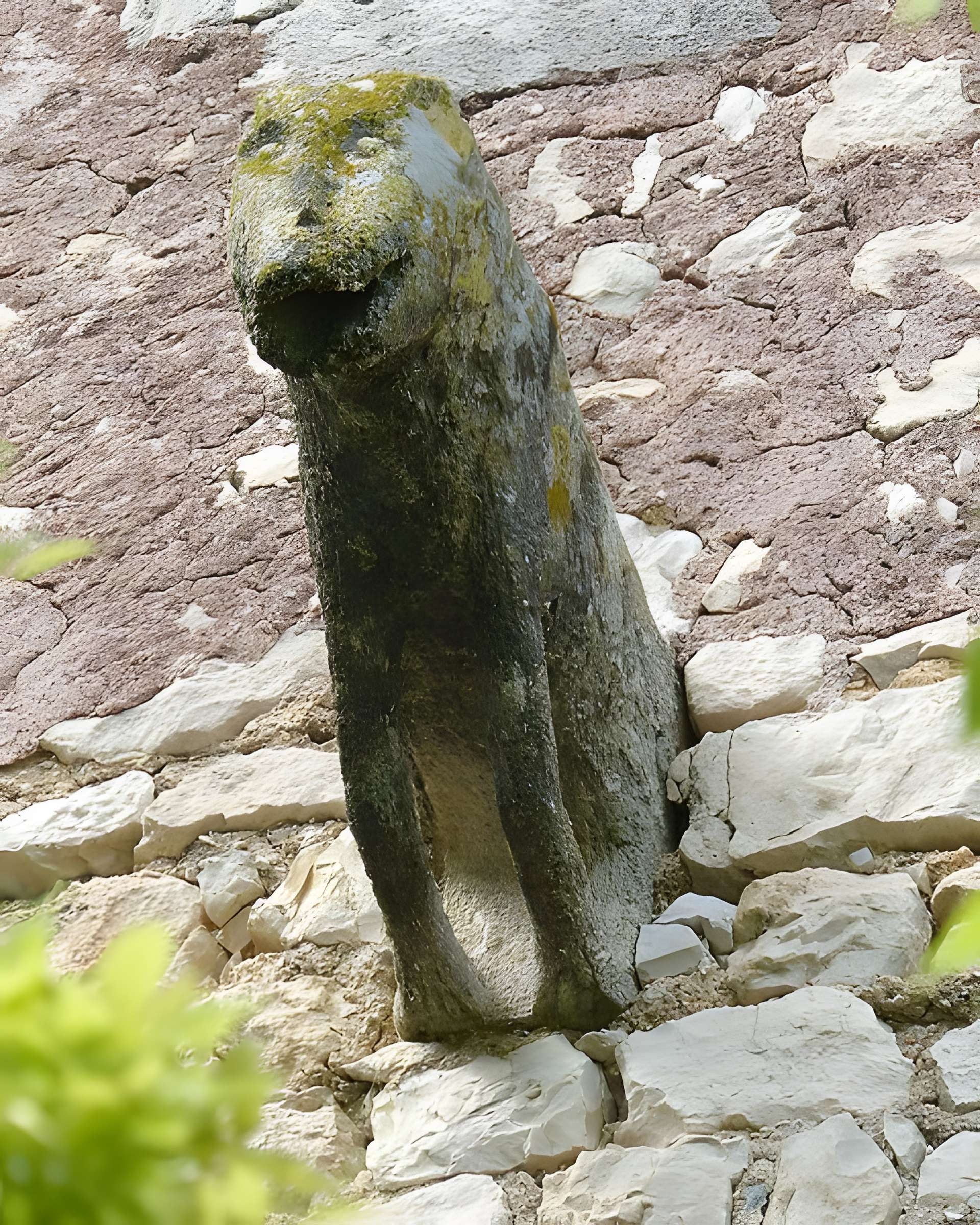 Château de Montarnaud