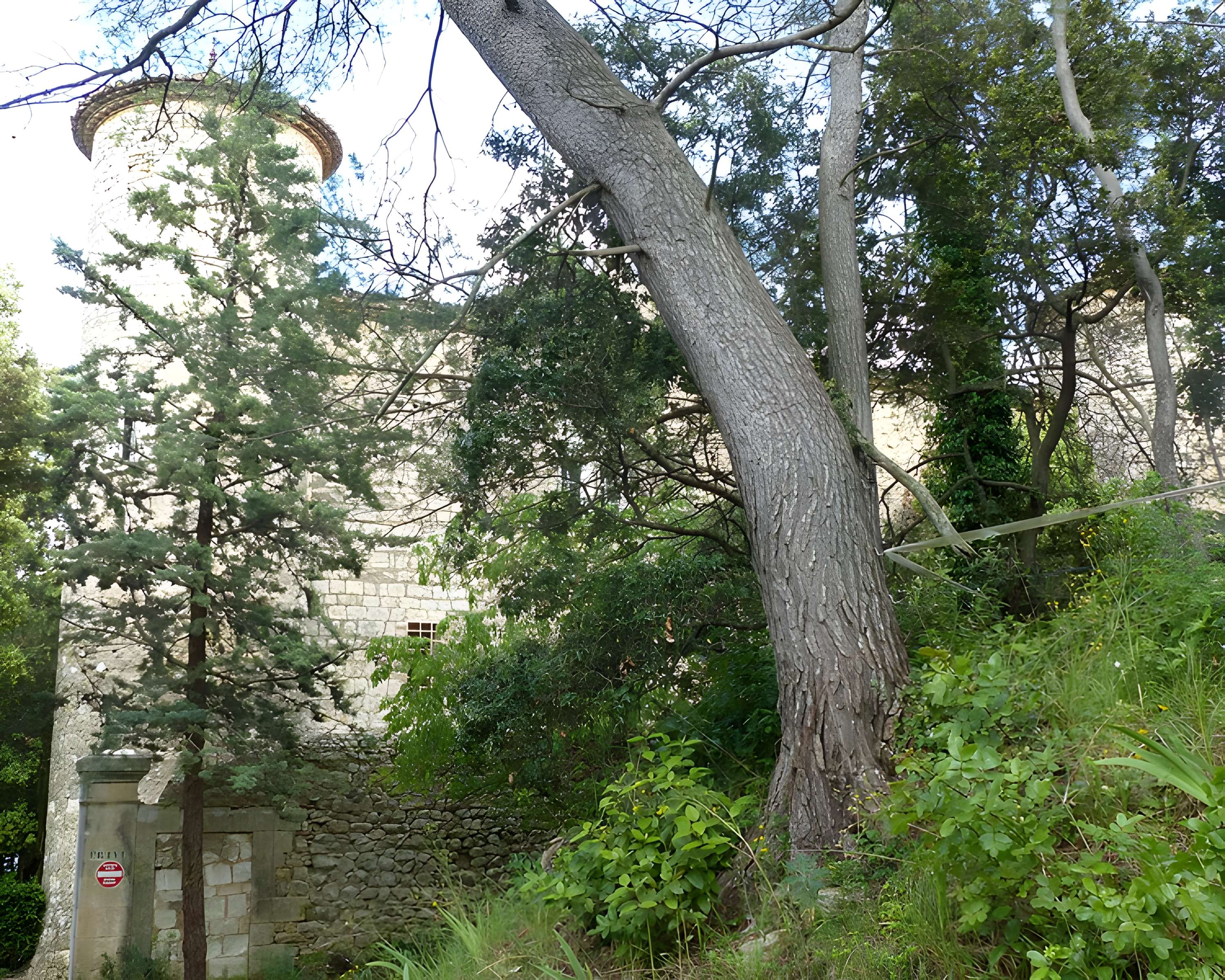 Château de Montarnaud