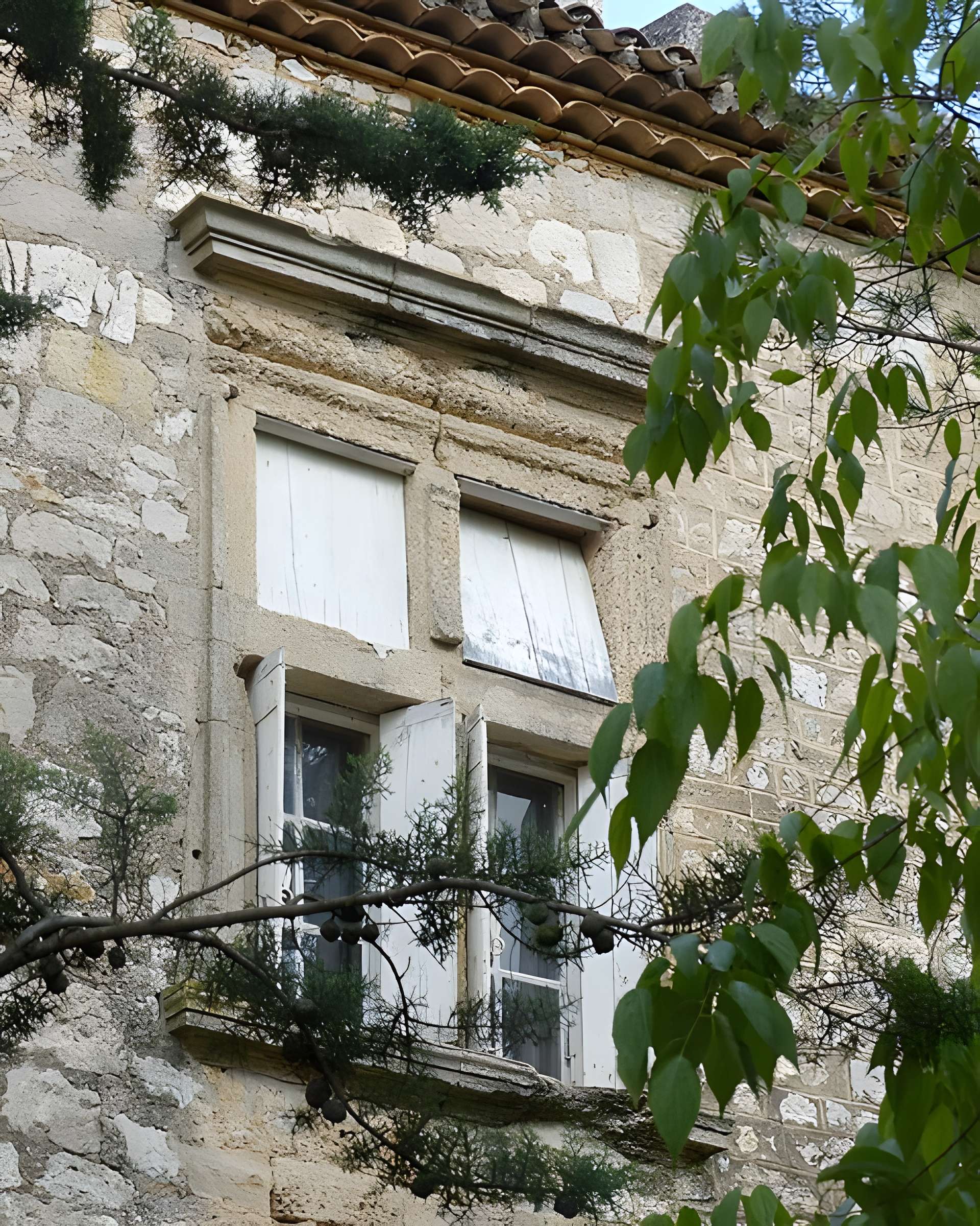 Château de Montarnaud