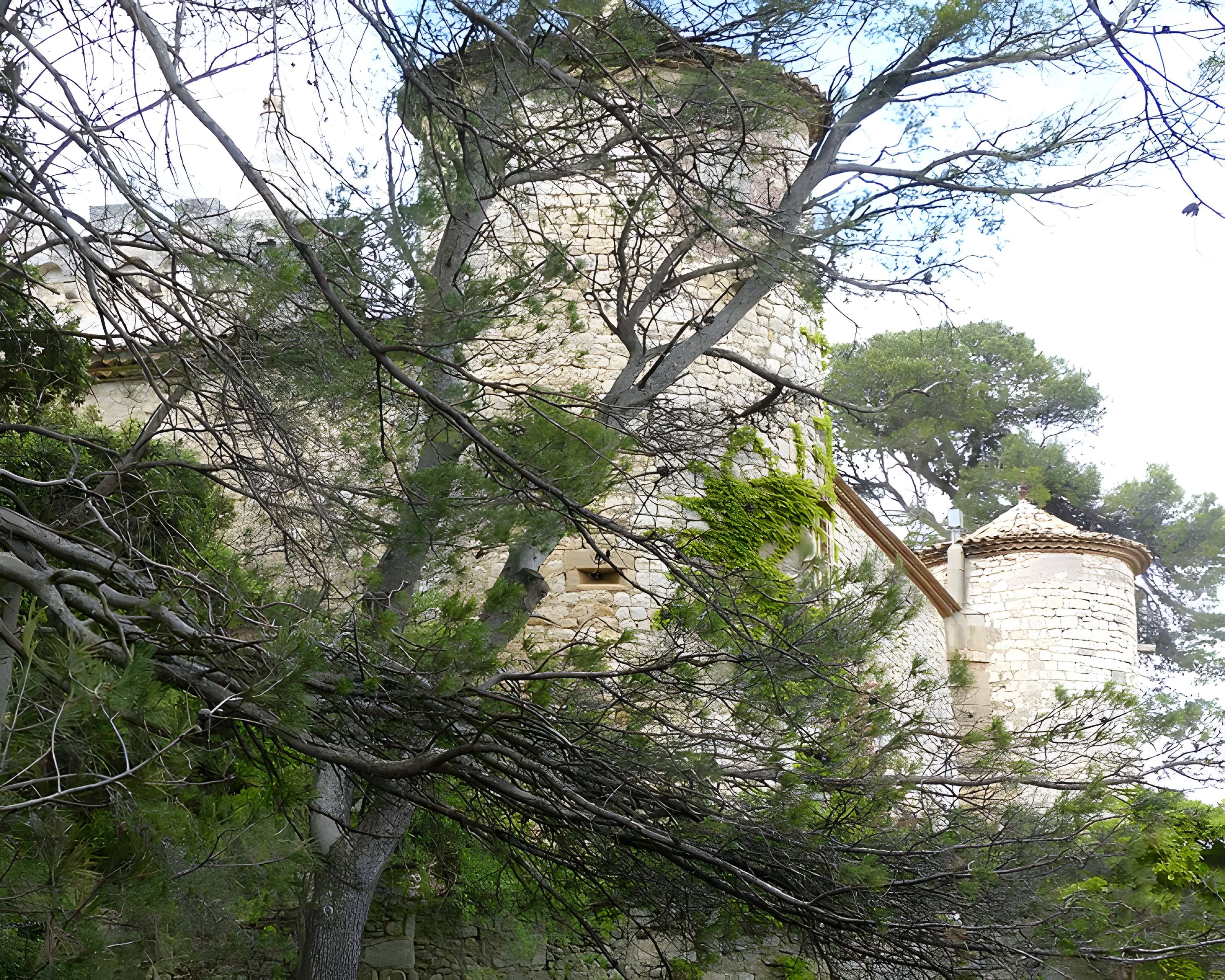 Château de Montarnaud