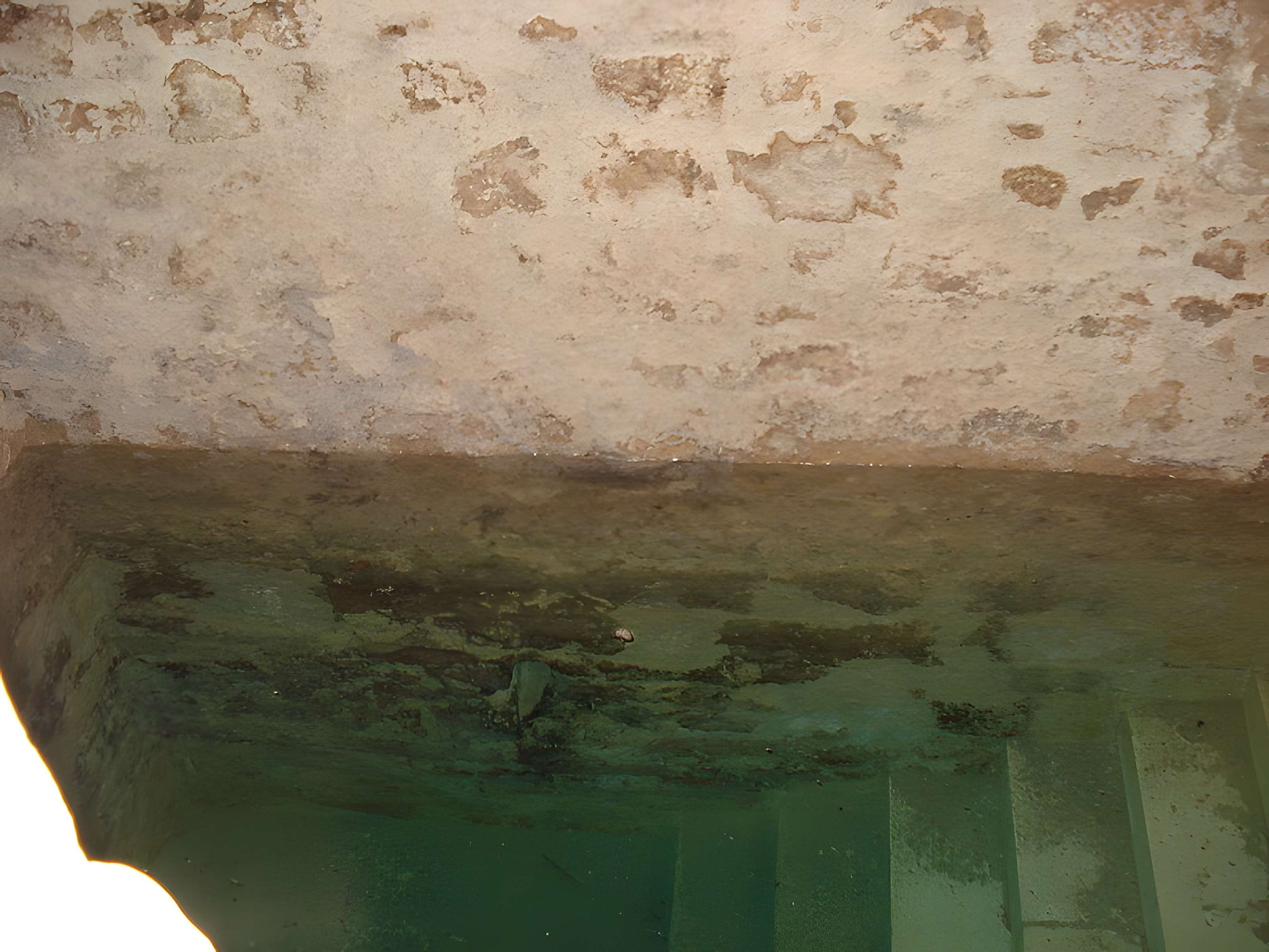 Immeuble, ancienne synagogue