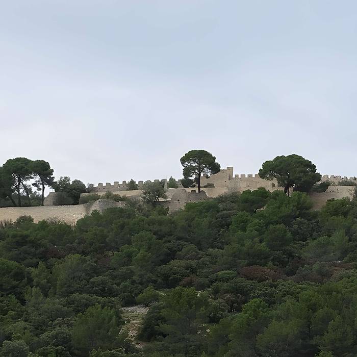 Photo de Castellas de Montpeyroux