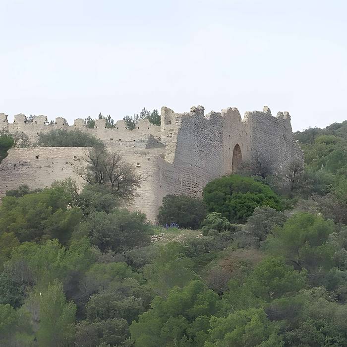 Photo de Castellas de Montpeyroux